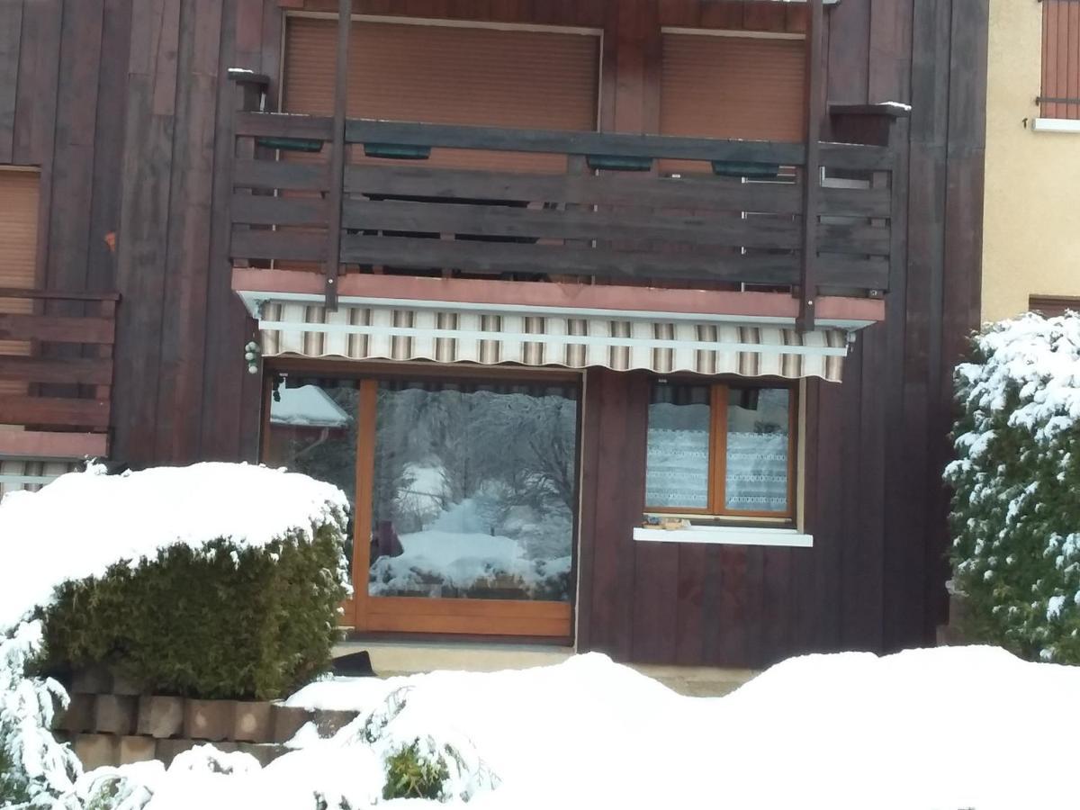 Charmant Duplex De 45M², 2 Chambres, Jardin, Garage, Villard-De-Lans - Fr-1-515-51 Exterior foto